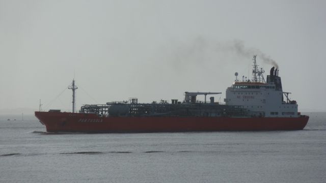 Pertusola - estuaire - 26 janvier 2013 (02).JPG